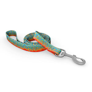 Wingo Dog Leash