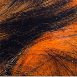 Crosscut Two Toned Rabbit Strips