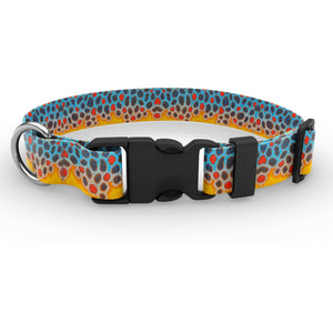 Wingo Dog Collar