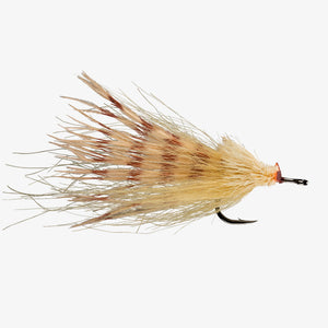 Rio Dread Pirate Fly