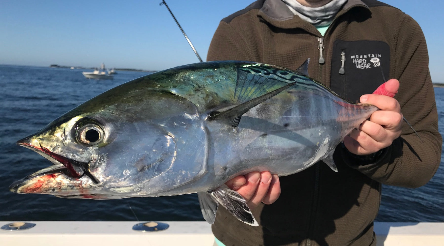 Northeast Fishing Report: 9/27/19