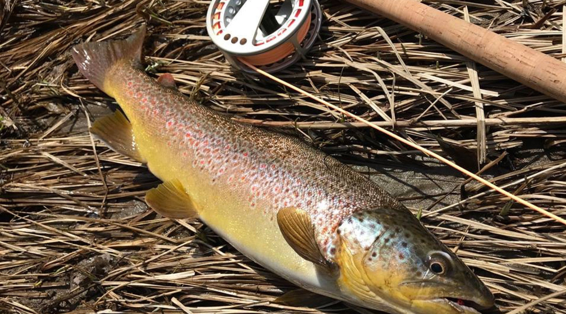 Fishing Report April 20th
