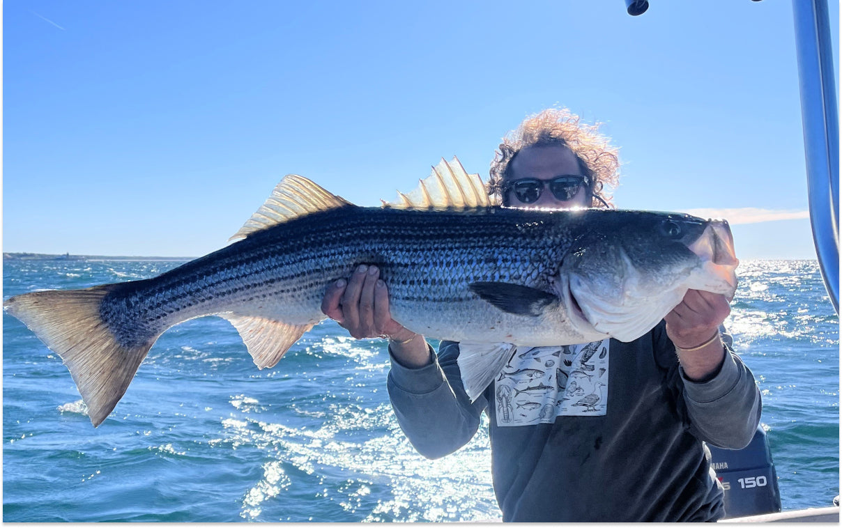 Northeast Fishing Report 6/12/26
