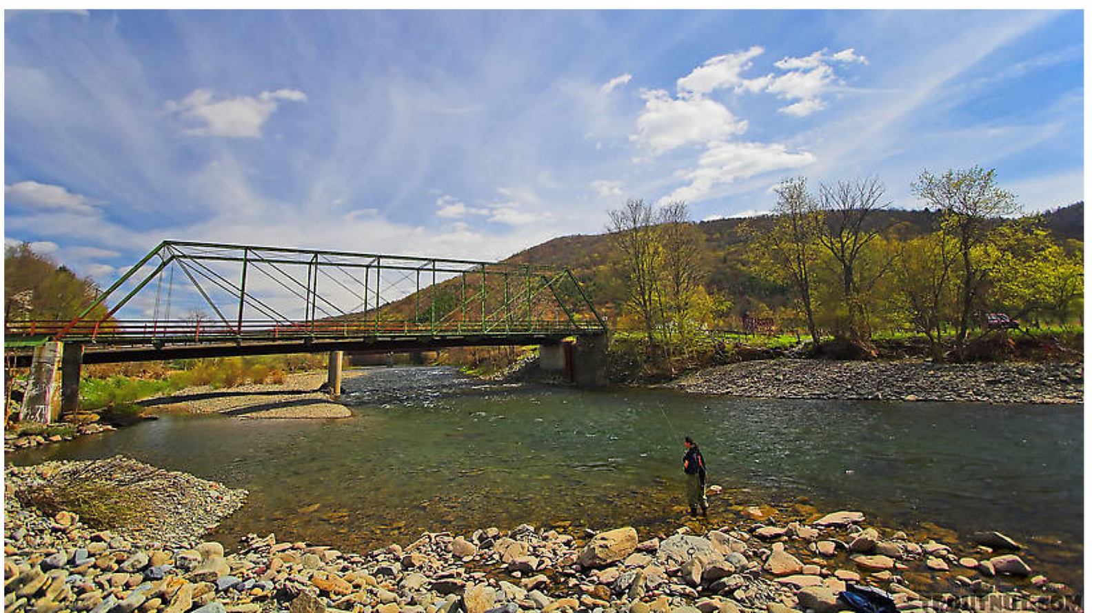 Fishing Report July 6th, 2017