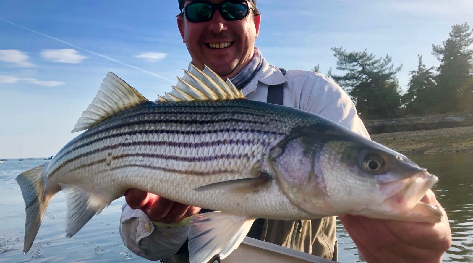 Beginners Guide to Striped Bass Gear - The Compleat Angler