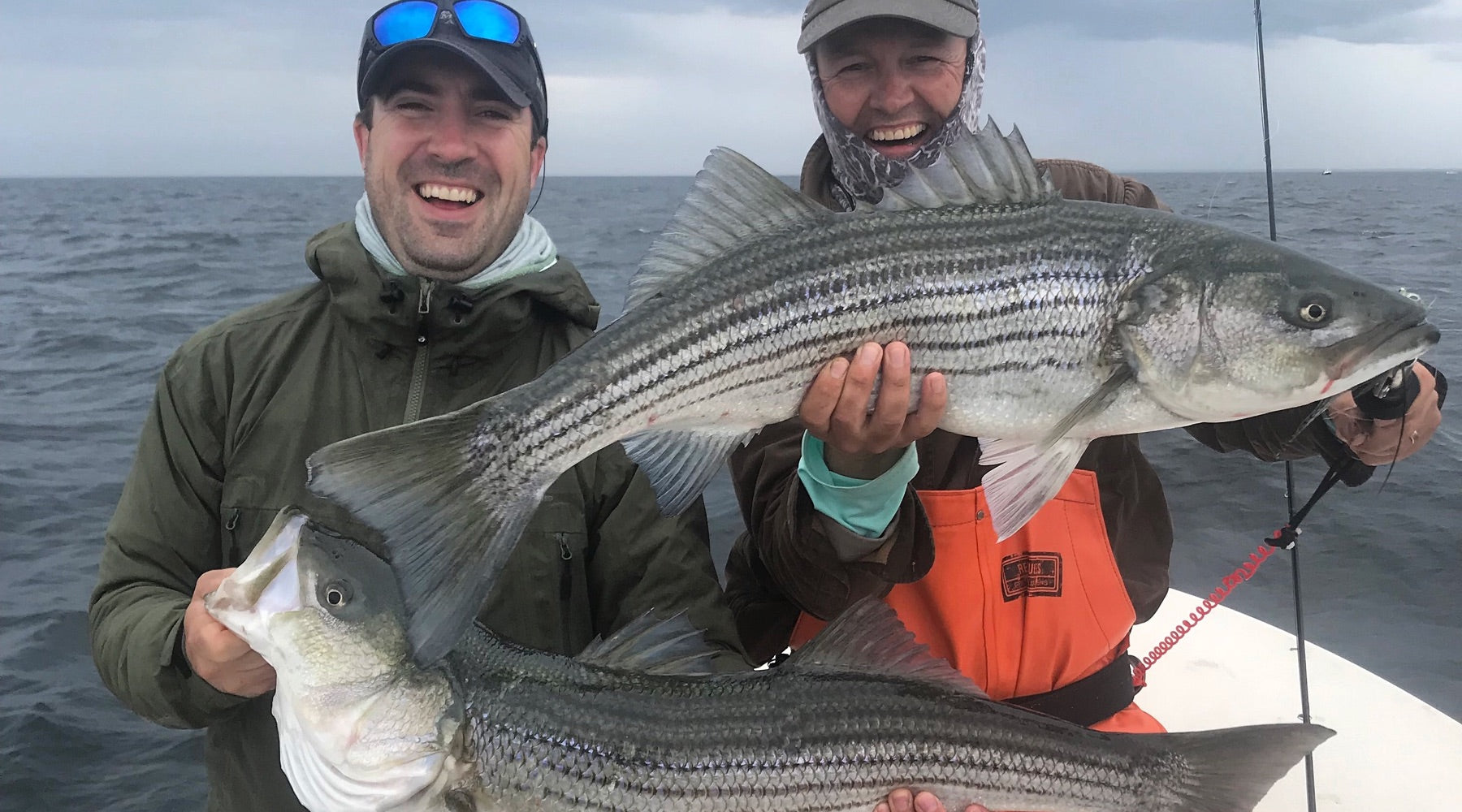 Dispatch: Big Stripers on Cape Cod