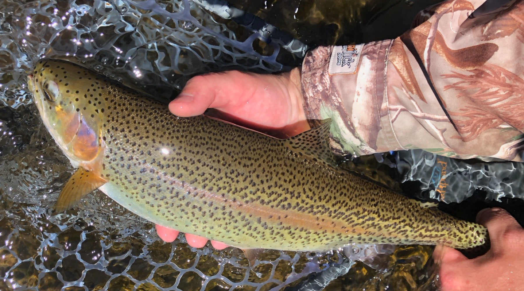 Northeast Fishing Report: 5/28/20