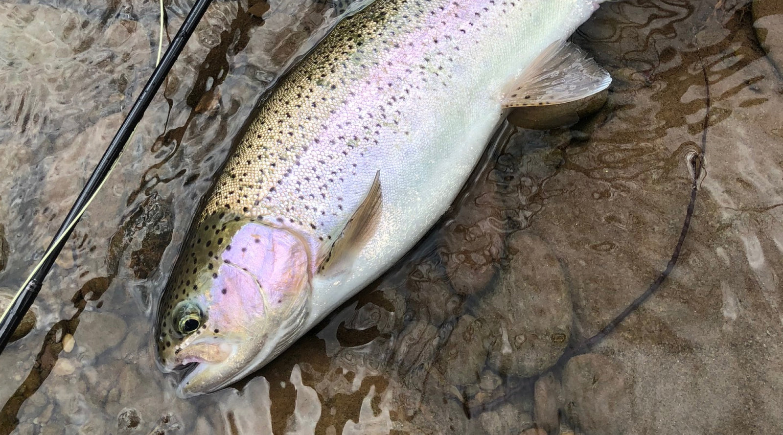 Northeast Fishing Report: 5/21/21