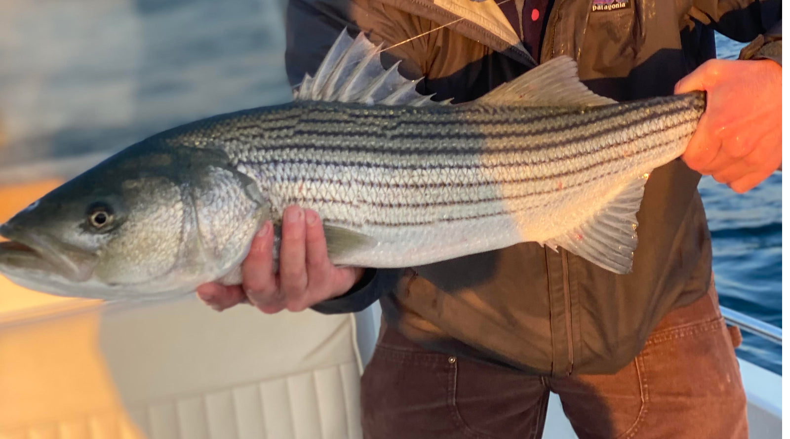 Northeast Fishing Report: 10/7/2022