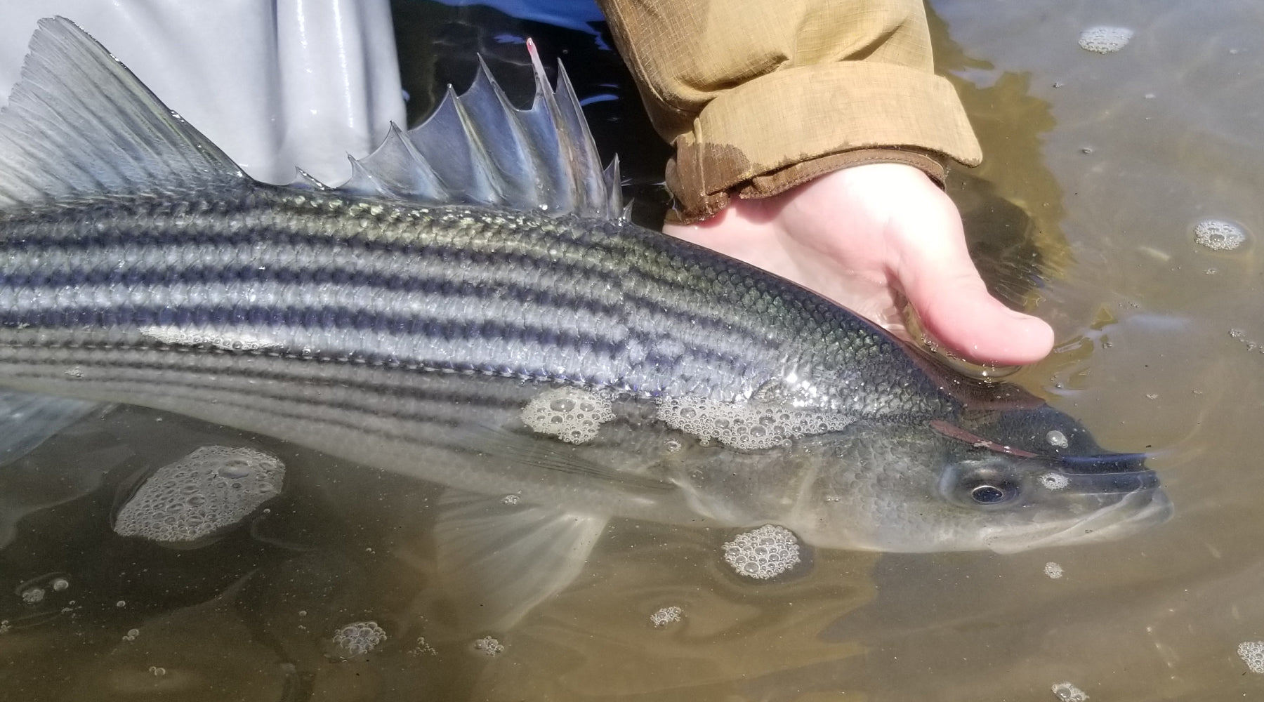 Northeast Fishing Report: 12/16/2022