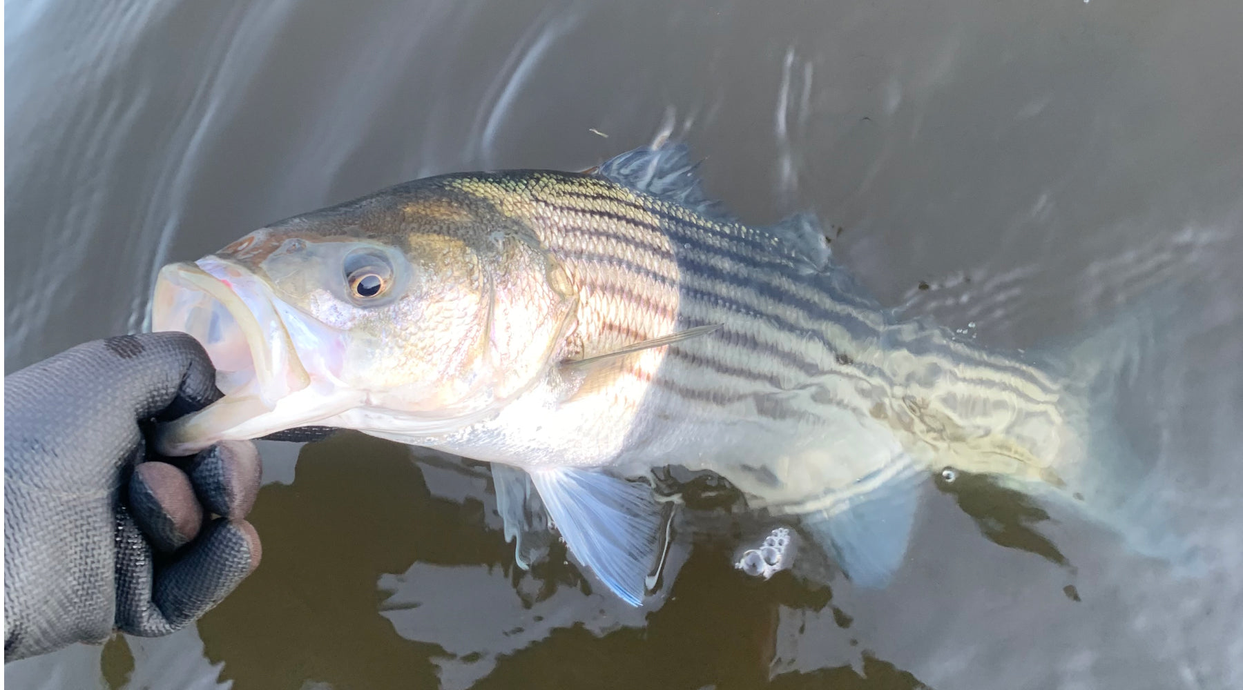 Northeast Fishing Report: 12/23/2022
