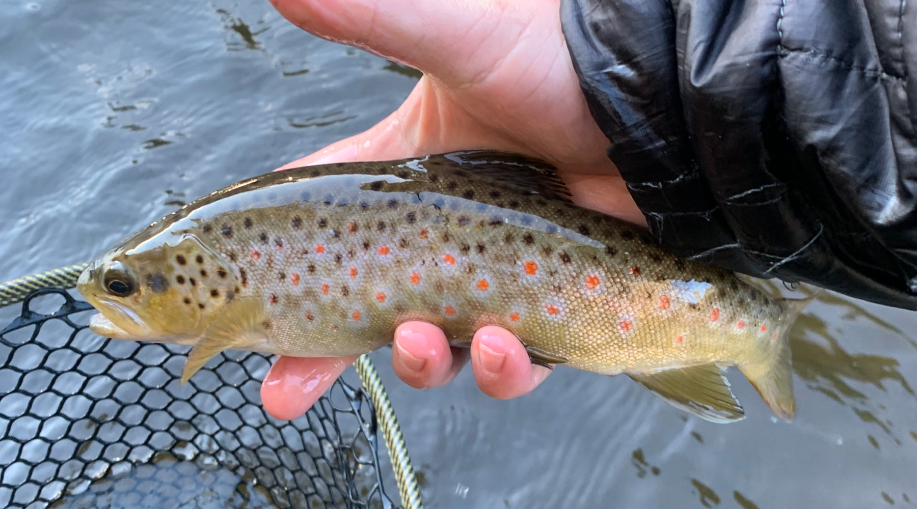 Northeast Fishing Report: 1/6/2023