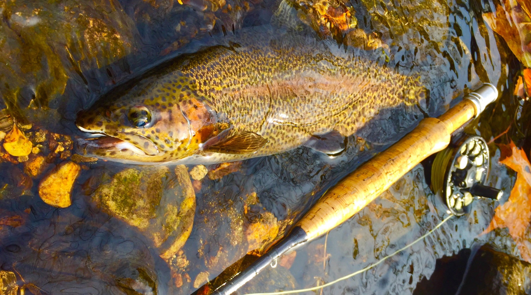 Northeast Fishing Report: 3/12/2021