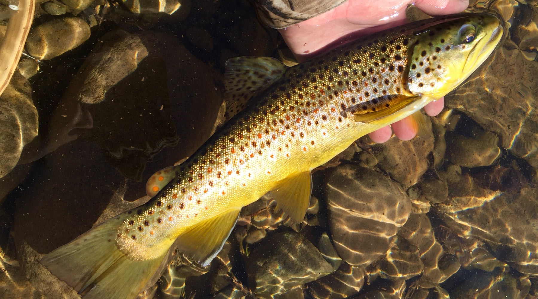 Northeast Fishing Report: 4/9/21