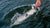 Northeast Fishing Report: 7/22/2022