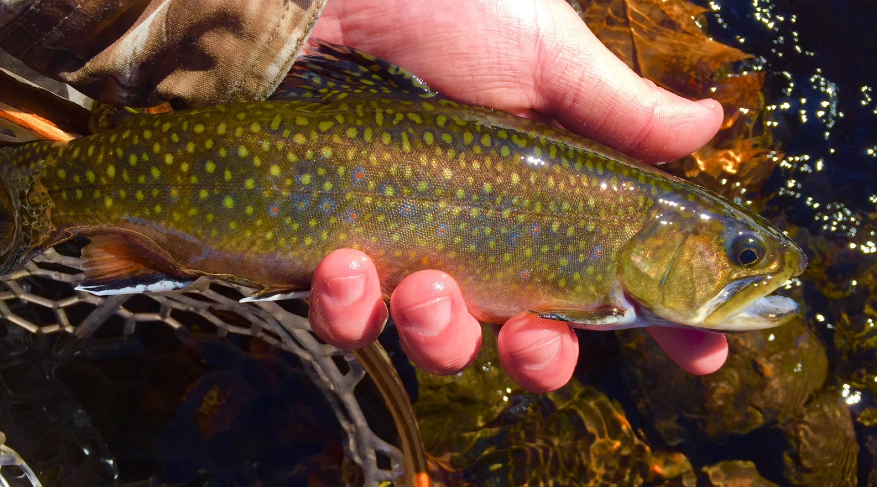 Northeast Fishing Report: 3/3/2022