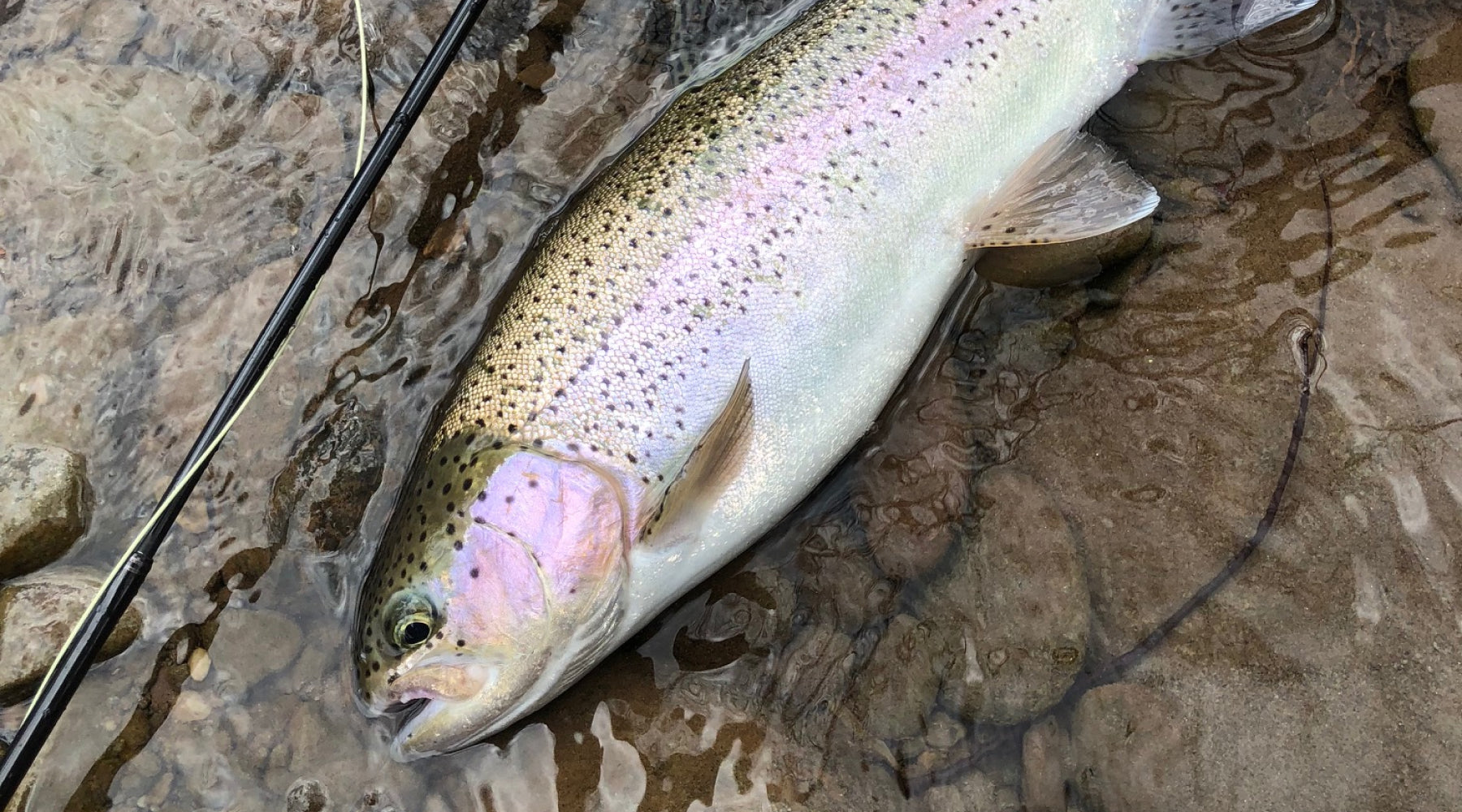 Northeast Fishing Report: 3/5/21
