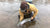 Northeast Fishing Report 1/21/2023