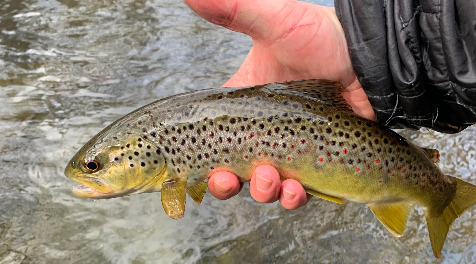 Northeast Fishing Report: 2/3/2023