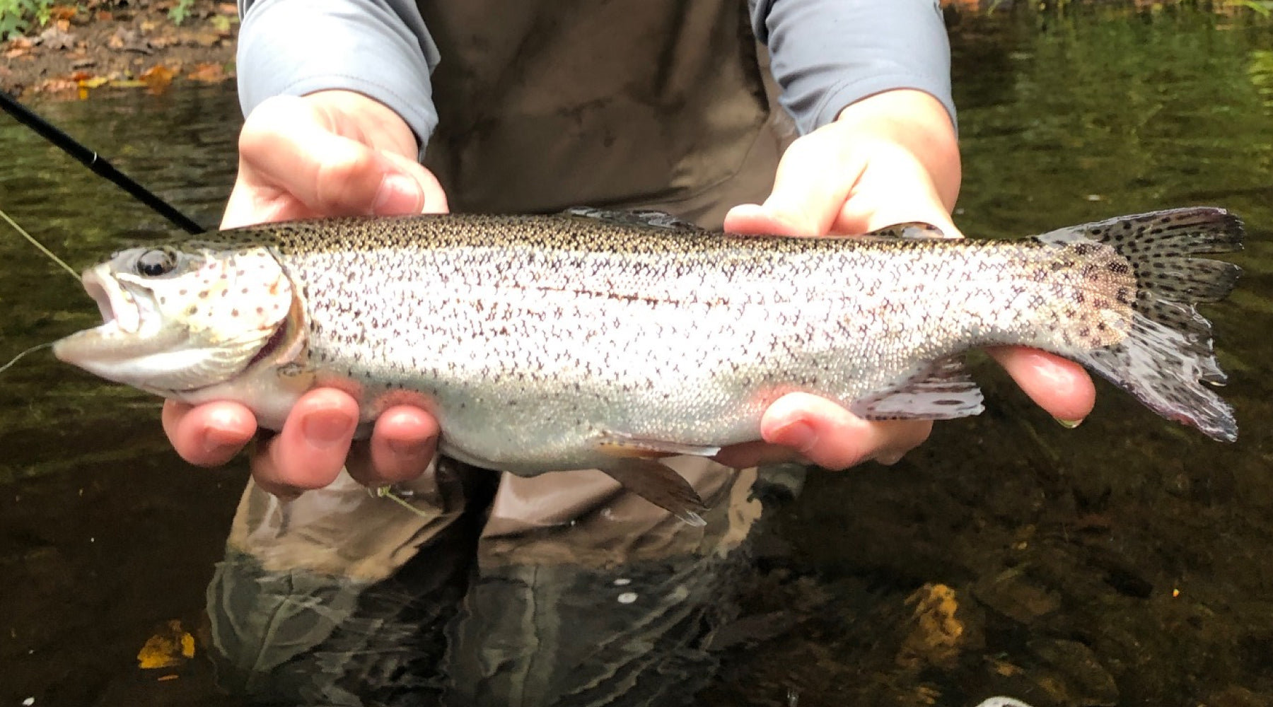 Northeast Fishing Report: 3/11/2022