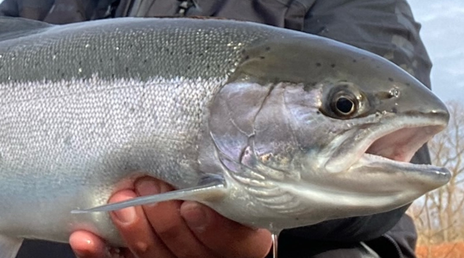 Northeast Fishing Report: 12/22/2023