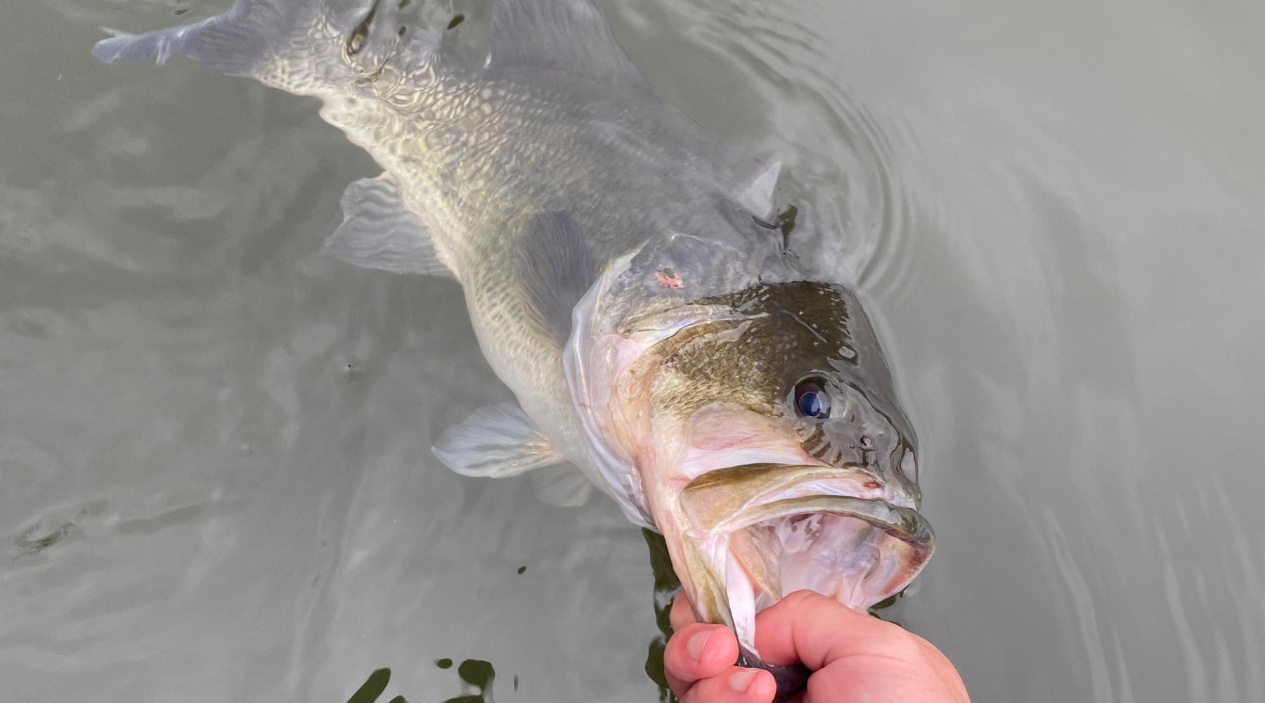 Northeast Fishing Report: 4/21/23