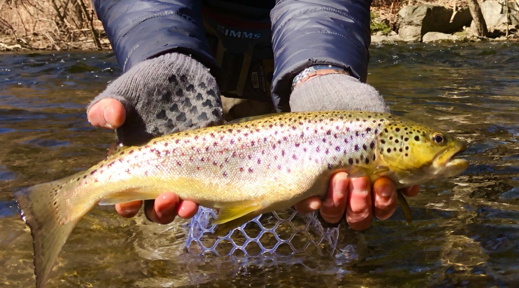 Northeast Fishing Report: 3/25/2022