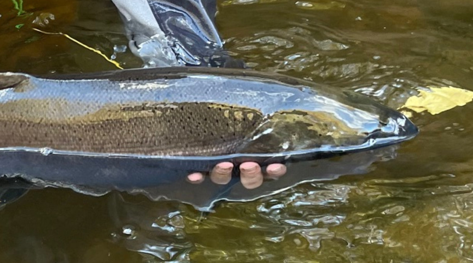 Northeast Fishing Report: 12/29/2023