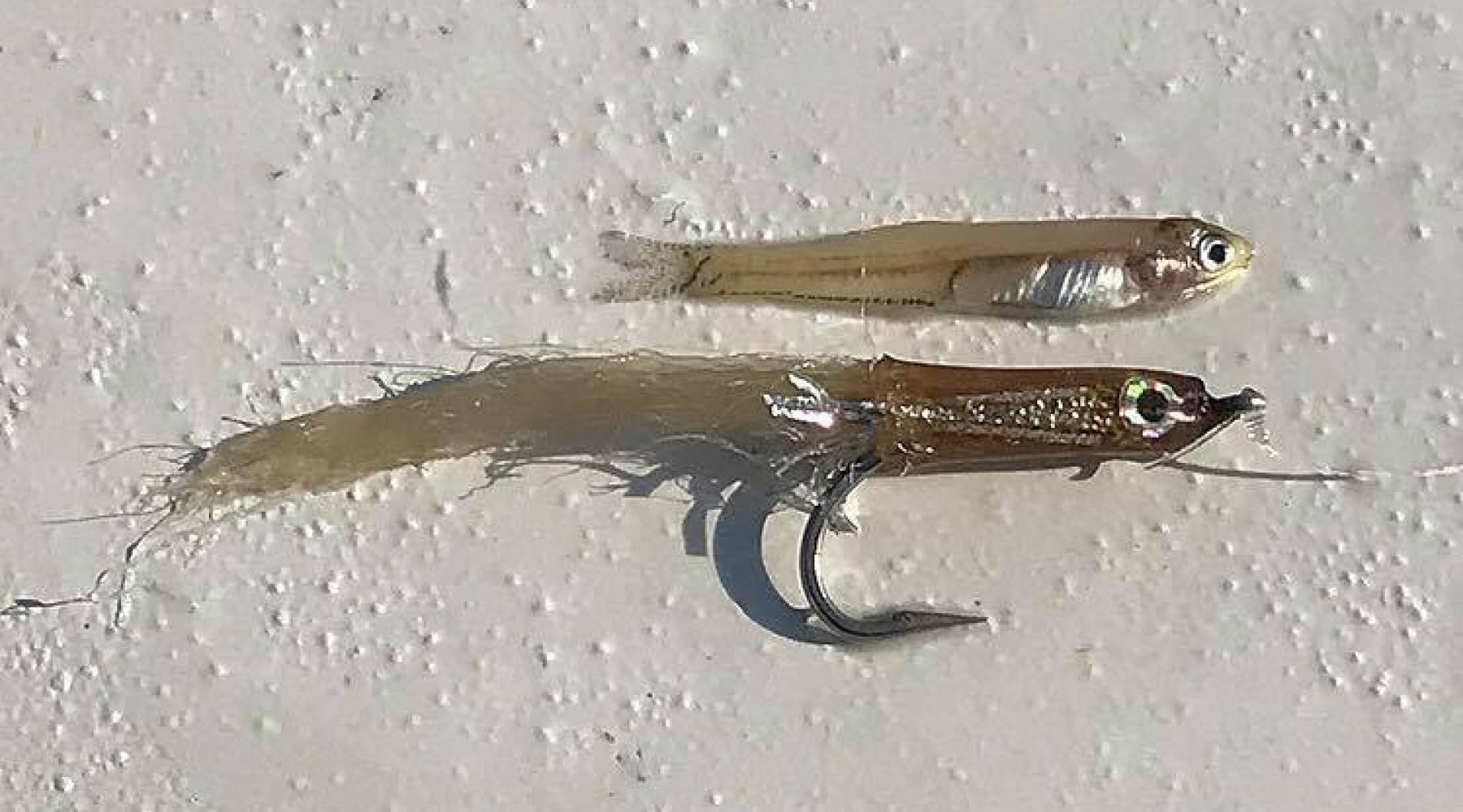 Northeast Fishing Report: 8/26/2022