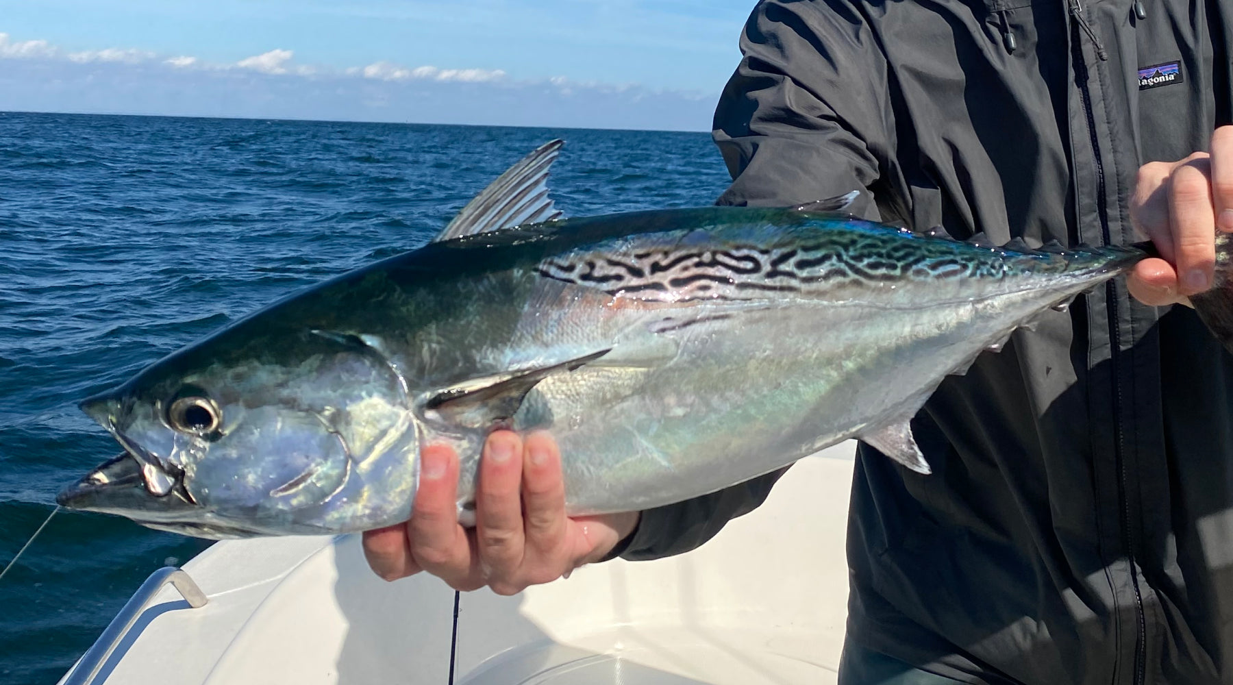 Northeast Fishing Report: 9/9/2022
