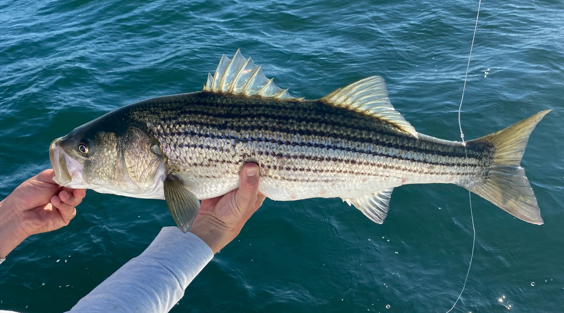 Northeast Fishing Report: 10/28/2022
