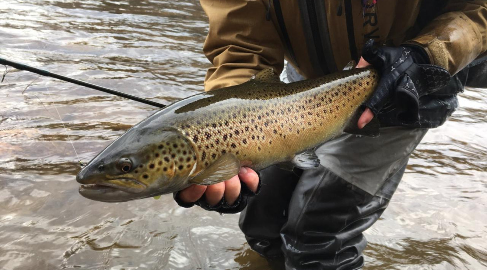 Northeast Fishing Report: 2/10/2023