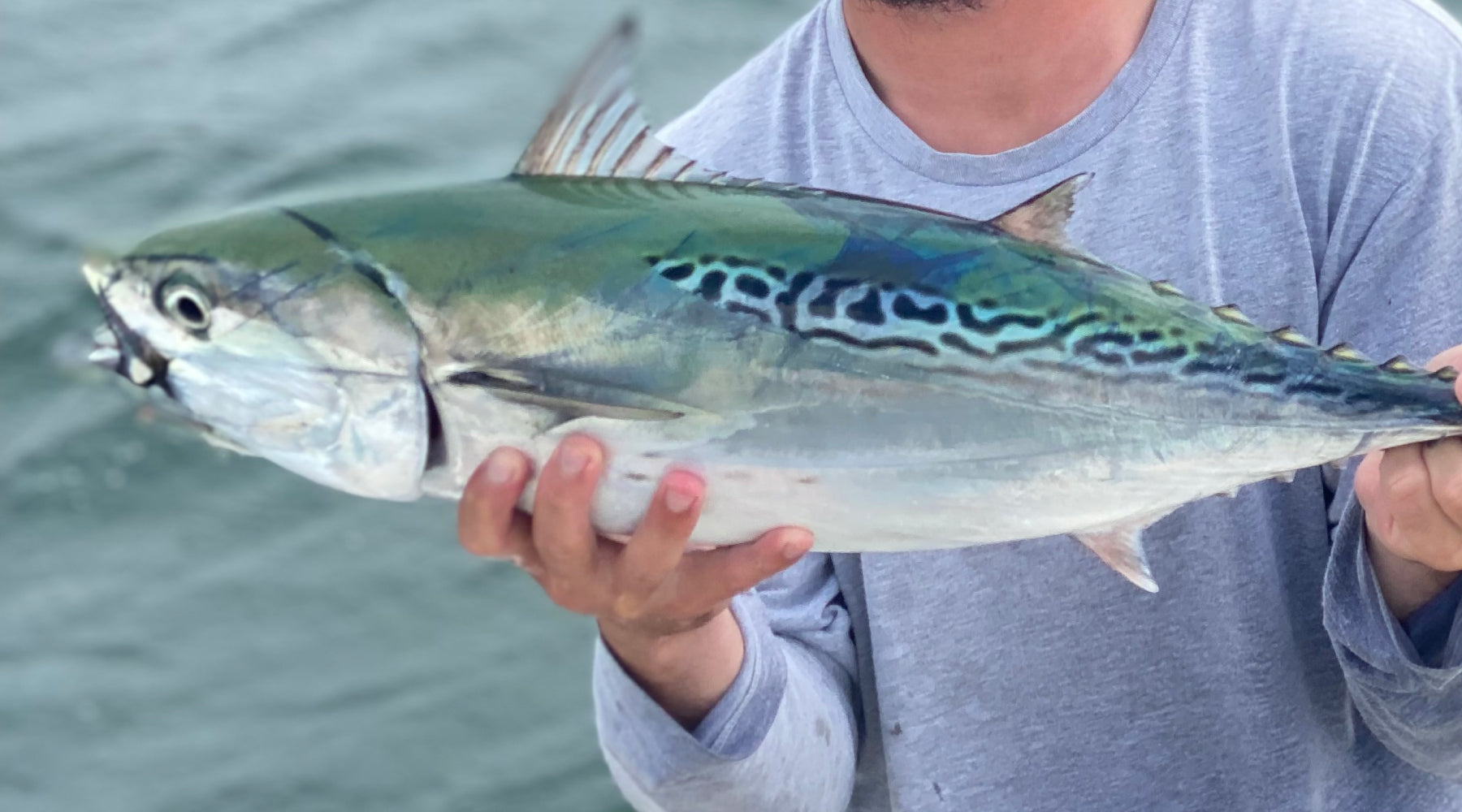 Northeast Fishing Report: 9/16/2022