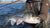 Northeast Fishing Report: 6/3/2022