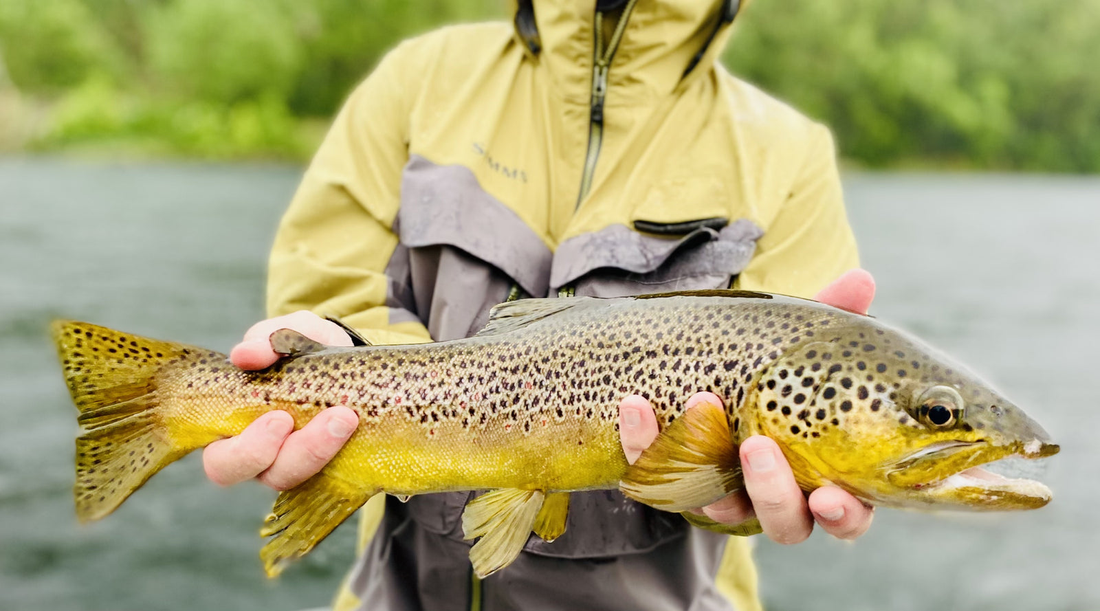 Northeast Fishing Report 7/19/2024