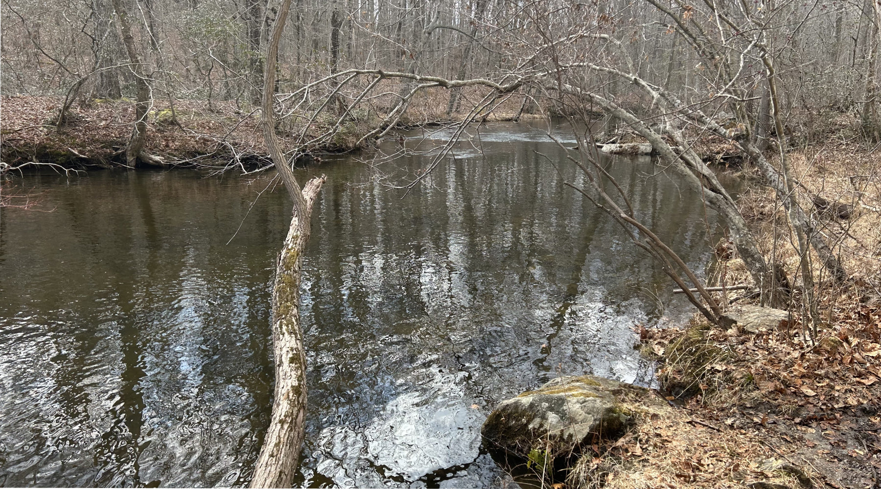 Northeast Fishing Report 3/14/2025