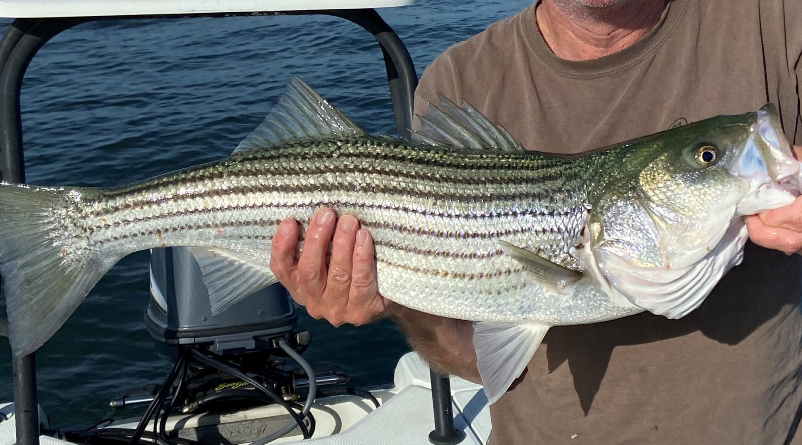 Northeast Fishing Report: 8/18/2023