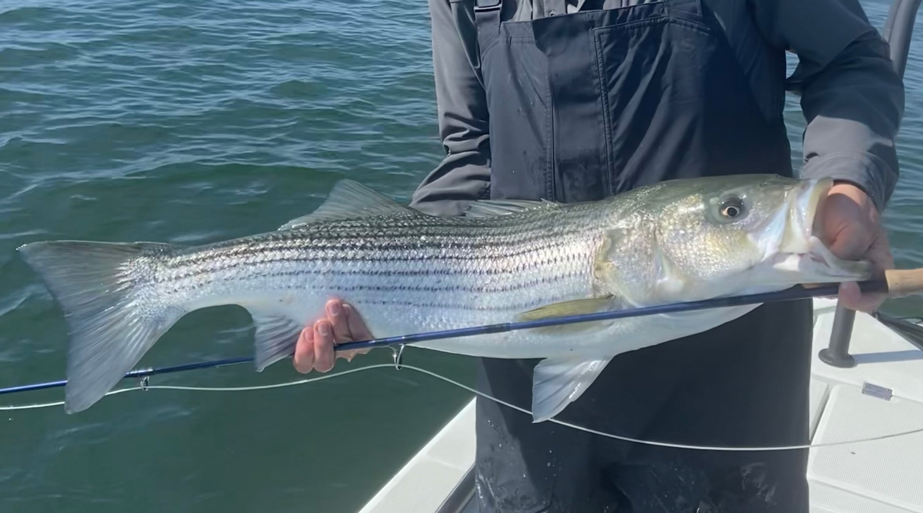 Northeast Fishing Report: 10/21/2022
