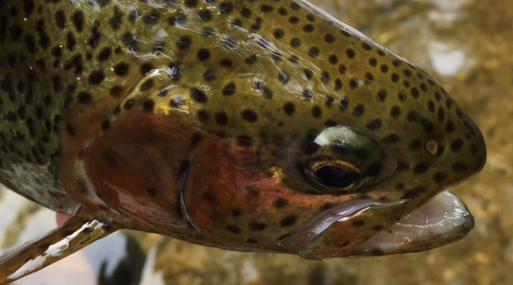Northeast Fishing Report: 2/25/2022