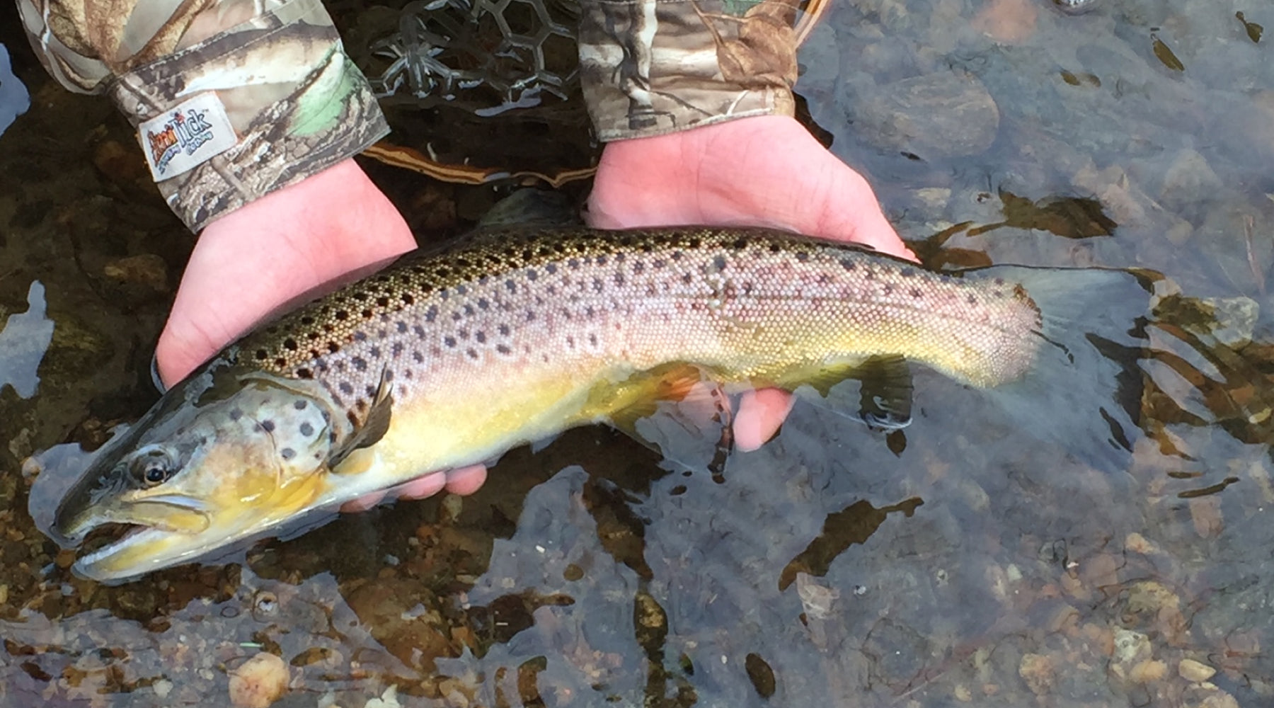 Northeast Fishing Report: 2/16/2022