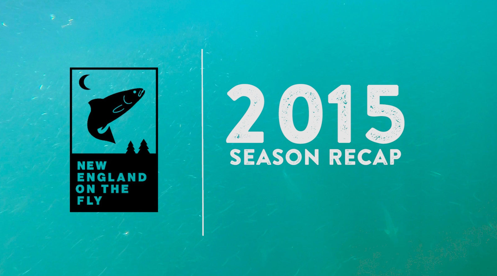 Video: Fly Fishing New England 2015