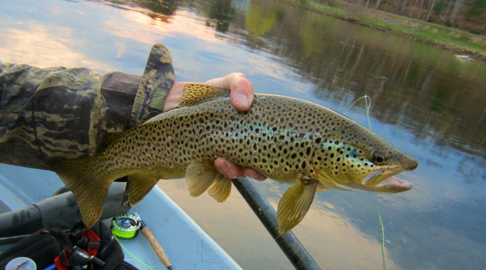 Stream Report for April 12th