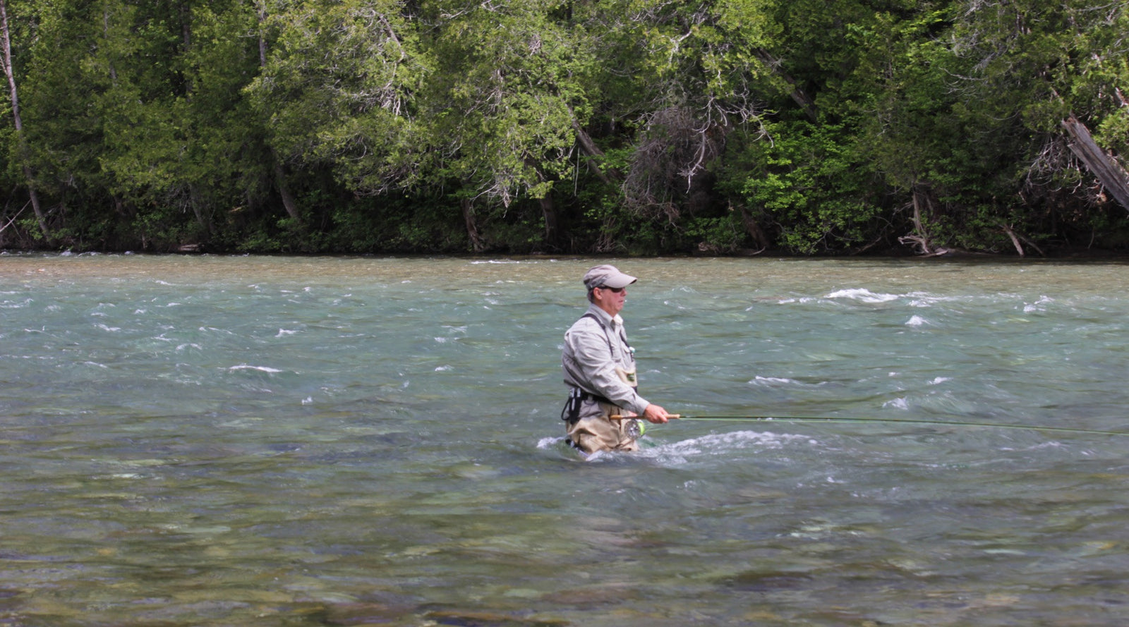 Gaspé Atlantic Salmon & Striped Bass: June 2014