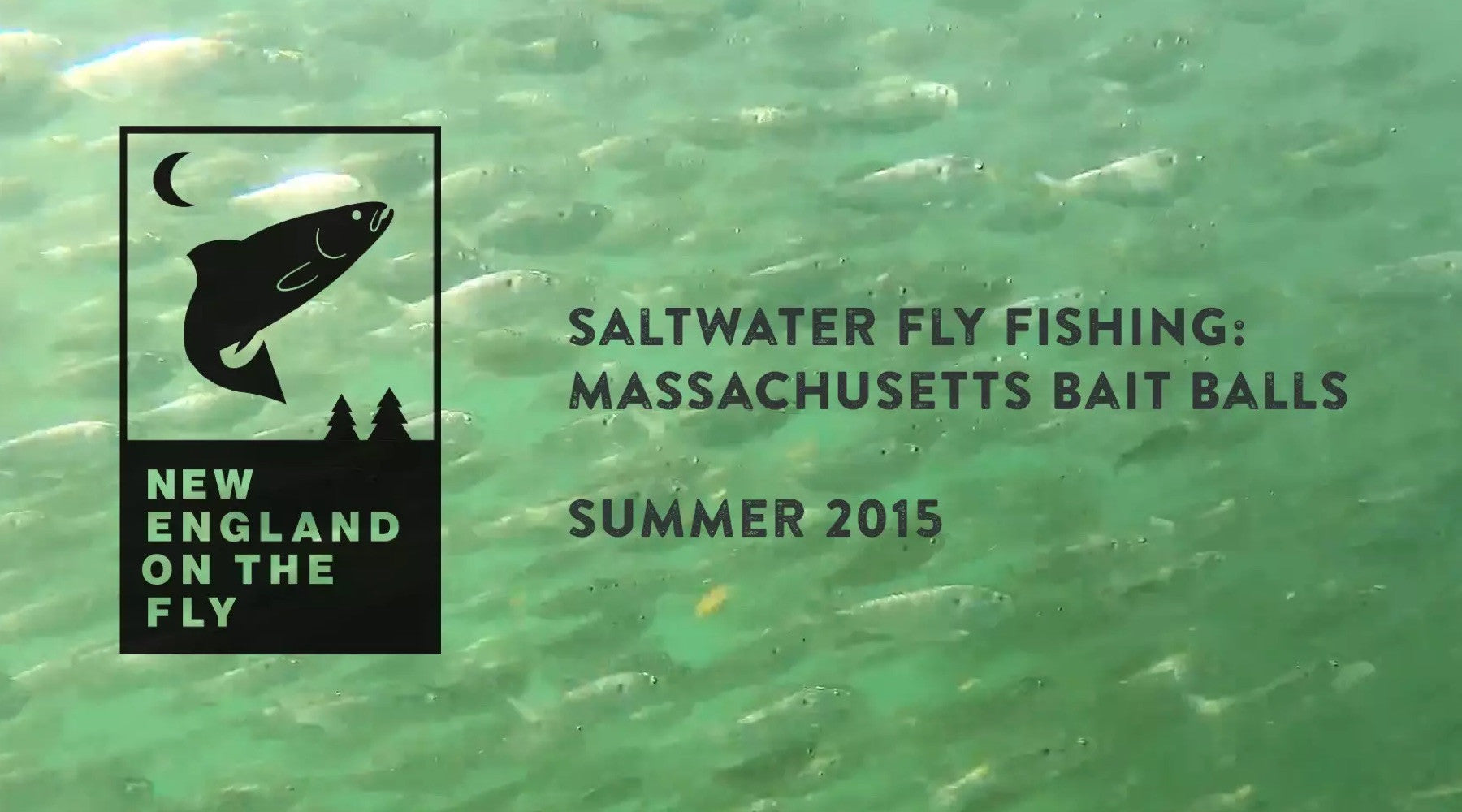 Video: Saltwater Fly Fishing: Massachusetts Bait Balls Summer 2015