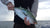 Photos: False Albacore & Bonito Fishing