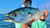 Northeast Fishing Report: 9/11/2020