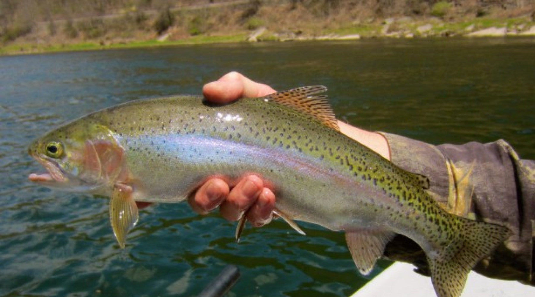 Fishing Report April 14th