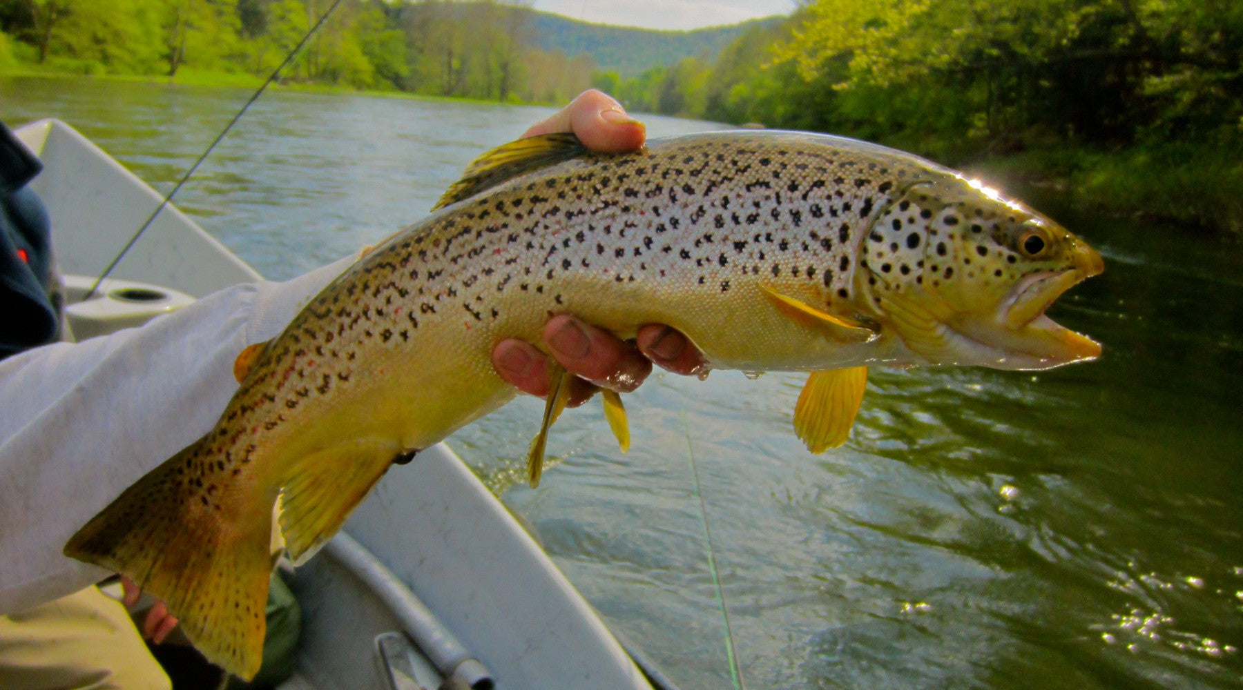 Fishing Report April 19th