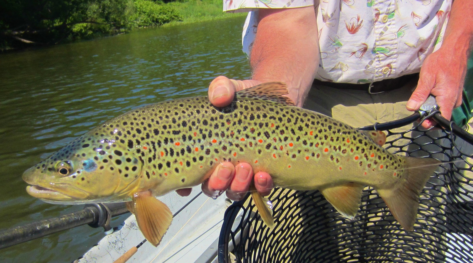 Fishing Report June 25th