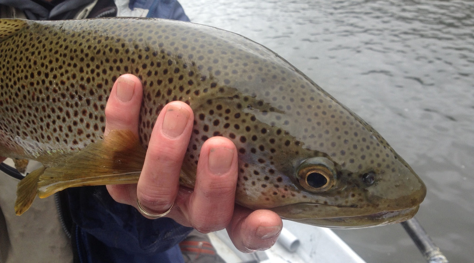 Fishing Report May 14th